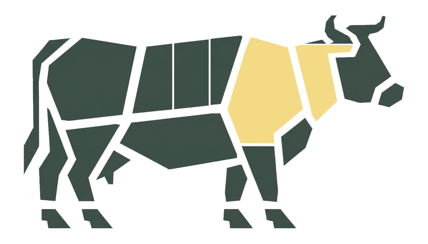Chuck primal highlighted on a Black Angus beef carcass chart