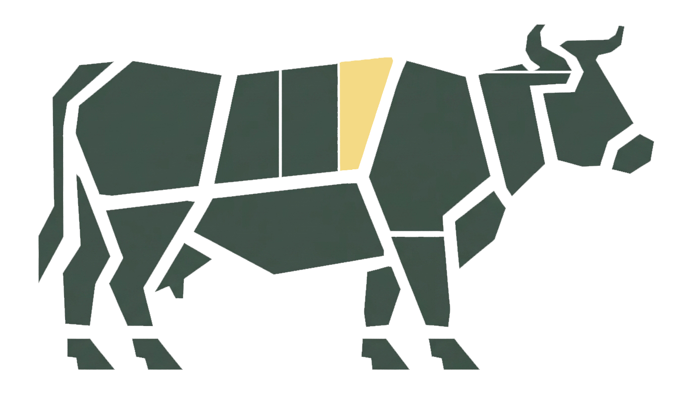 Rib primal highlighted on a Black Angus beef carcass chart