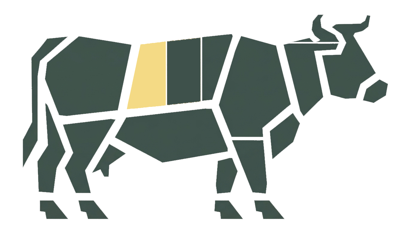 Sirloin primal highlighted on a Black Angus beef carcass chart