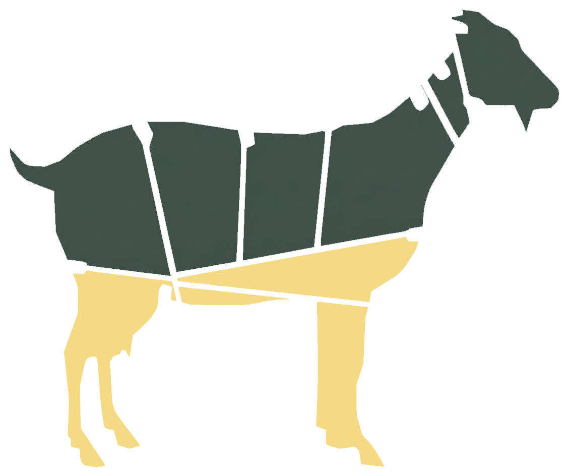 Shank primal highlighted on a goat and lamb carcass chart